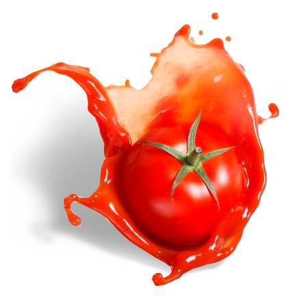 Tomate Splash